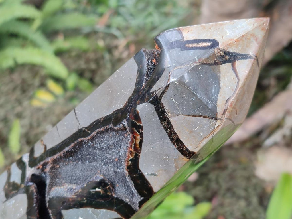 Polished Large Septerye Sauvage Display Crystal x 1 From Mahajanga, Madagascar - Toprock Gemstones and Minerals 