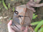 Polished Large Septerye Sauvage Display Crystal x 1 From Mahajanga, Madagascar - Toprock Gemstones and Minerals 