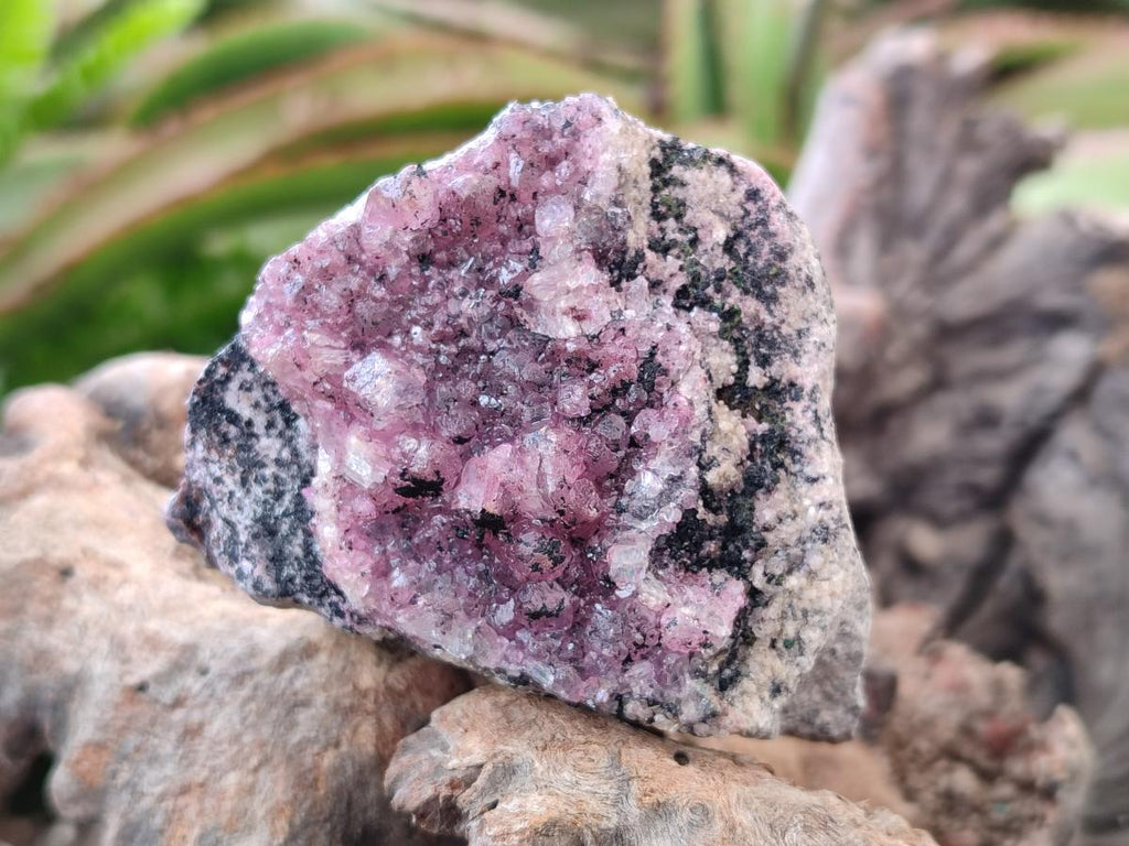 Natural Spherocobaltite Specimens x 6 From Musonoi Mine, Congo - Toprock Gemstones and Minerals 