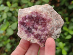 Natural Spherocobaltite Specimens x 6 From Musonoi Mine, Congo - Toprock Gemstones and Minerals 