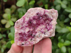 Natural Spherocobaltite Specimens x 6 From Musonoi Mine, Congo - Toprock Gemstones and Minerals 
