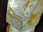 Polished Large Window Quartz Display Sceptre Crystal x 1 From Madagascar - Toprock Gemstones and Minerals 