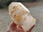 Polished Large Window Quartz Display Sceptre Crystal x 1 From Madagascar - Toprock Gemstones and Minerals 