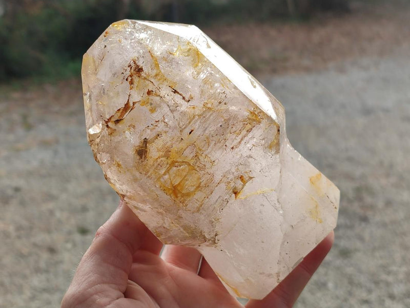 Polished Large Window Quartz Display Sceptre Crystal x 1 From Madagascar - Toprock Gemstones and Minerals 