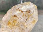 Polished Large Window Quartz Display Sceptre Crystal x 1 From Madagascar - Toprock Gemstones and Minerals 