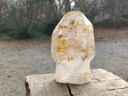 Polished Large Window Quartz Display Sceptre Crystal x 1 From Madagascar - Toprock Gemstones and Minerals 