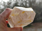 Polished Large Window Quartz Display Sceptre Crystal x 1 From Madagascar - Toprock Gemstones and Minerals 