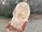 Polished Large Window Quartz Display Sceptre Crystal x 1 From Madagascar - Toprock Gemstones and Minerals 