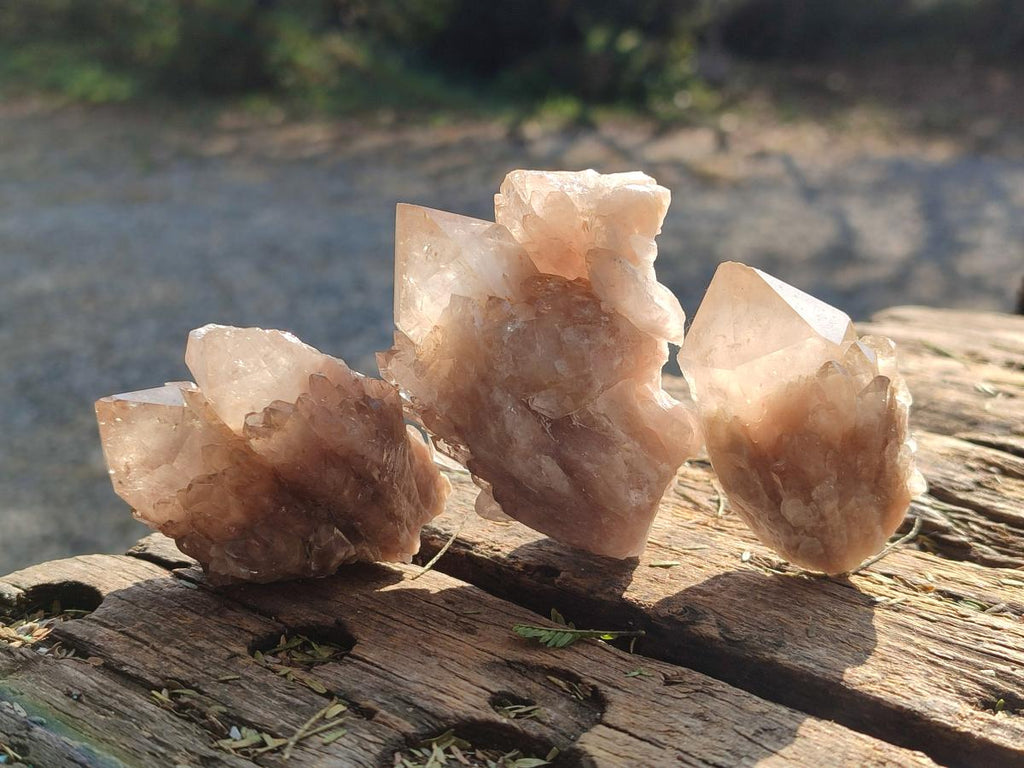 Natural Cascading White Phantom Smokey Luena Quartz Crystals x 12 From Luena, Congo - Toprock Gemstones and Minerals 