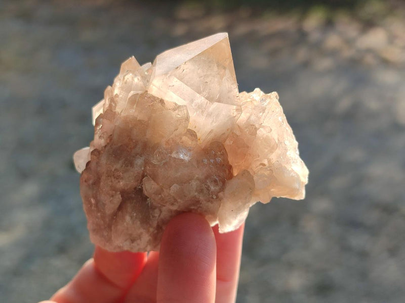 Natural Cascading White Phantom Smokey Luena Quartz Crystals x 12 From Luena, Congo - Toprock Gemstones and Minerals 