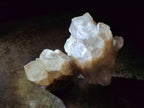 Natural Cascading White Phantom Smokey Luena Quartz Crystals x 12 From Luena, Congo - Toprock Gemstones and Minerals 