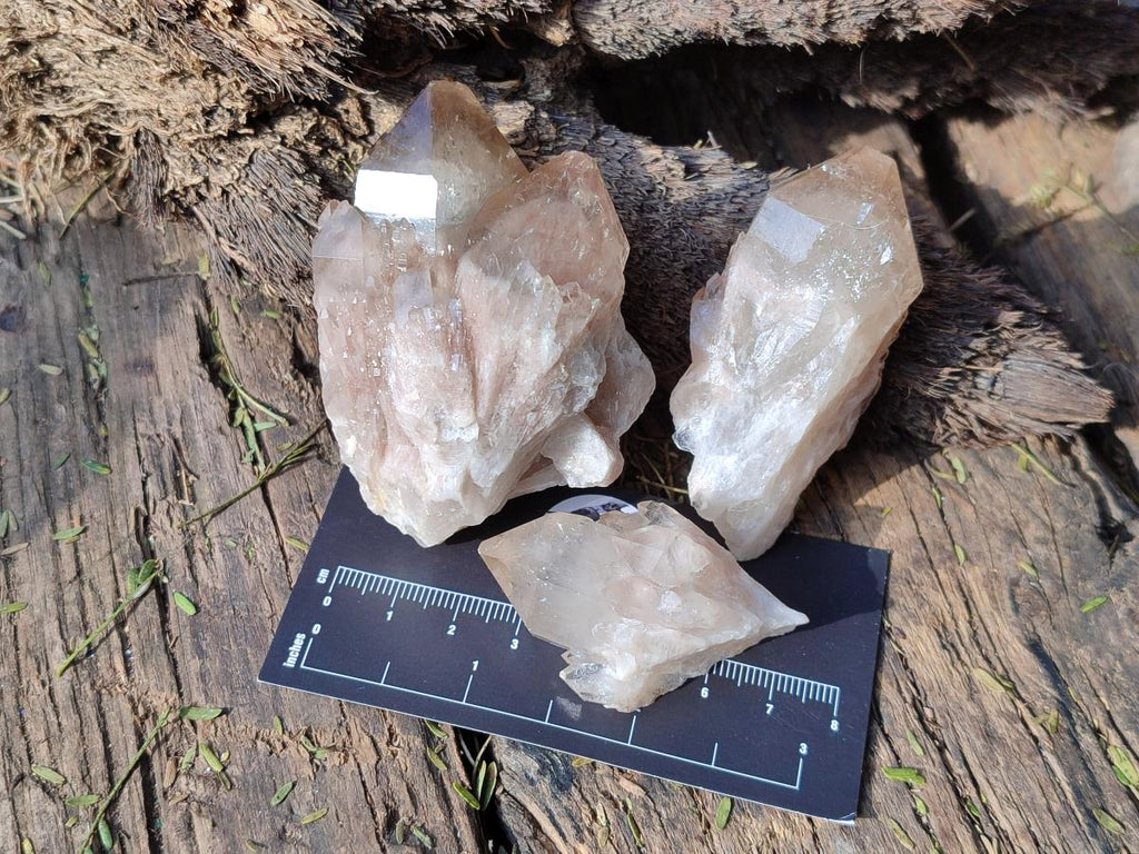 Natural Cascading White Phantom Smokey Luena Quartz Crystals x 12 From Luena, Congo - Toprock Gemstones and Minerals 