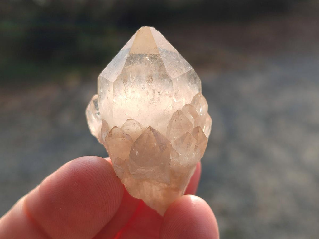 Natural Cascading White Phantom Smokey Luena Quartz Crystals x 12 From Luena, Congo - Toprock Gemstones and Minerals 