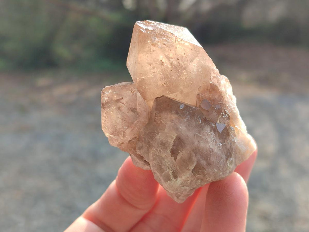 Natural Cascading White Phantom Smokey Luena Quartz Crystals x 12 From Luena, Congo - Toprock Gemstones and Minerals 
