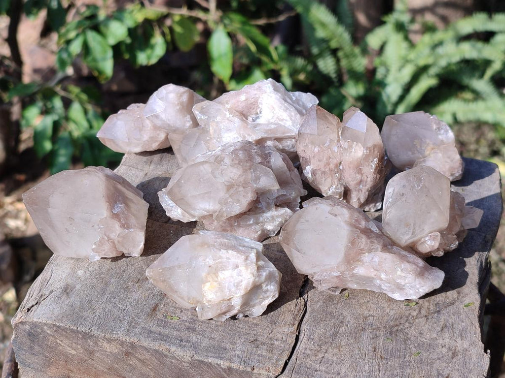 Natural Cascading White Phantom Smokey Luena Quartz Crystals x 12 From Luena, Congo - Toprock Gemstones and Minerals 