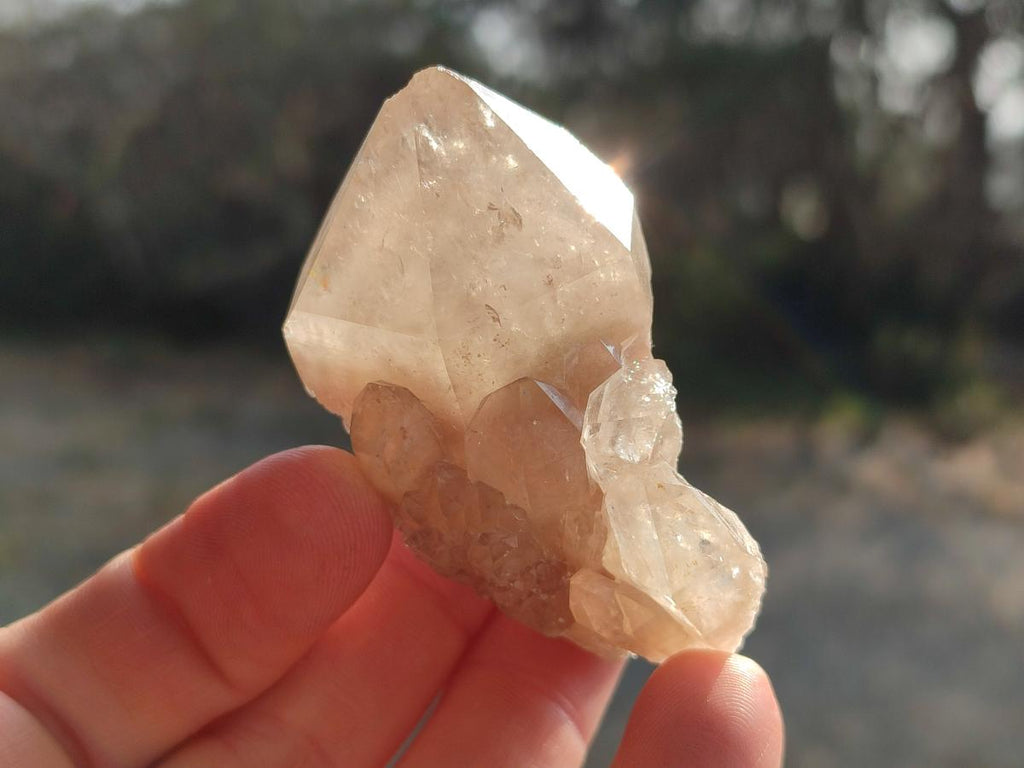 Natural Cascading White Phantom Smokey Luena Quartz Crystals x 12 From Luena, Congo - Toprock Gemstones and Minerals 