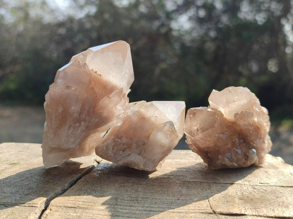 Natural Cascading White Phantom Smokey Luena Quartz Crystals x 12 From Luena, Congo - Toprock Gemstones and Minerals 
