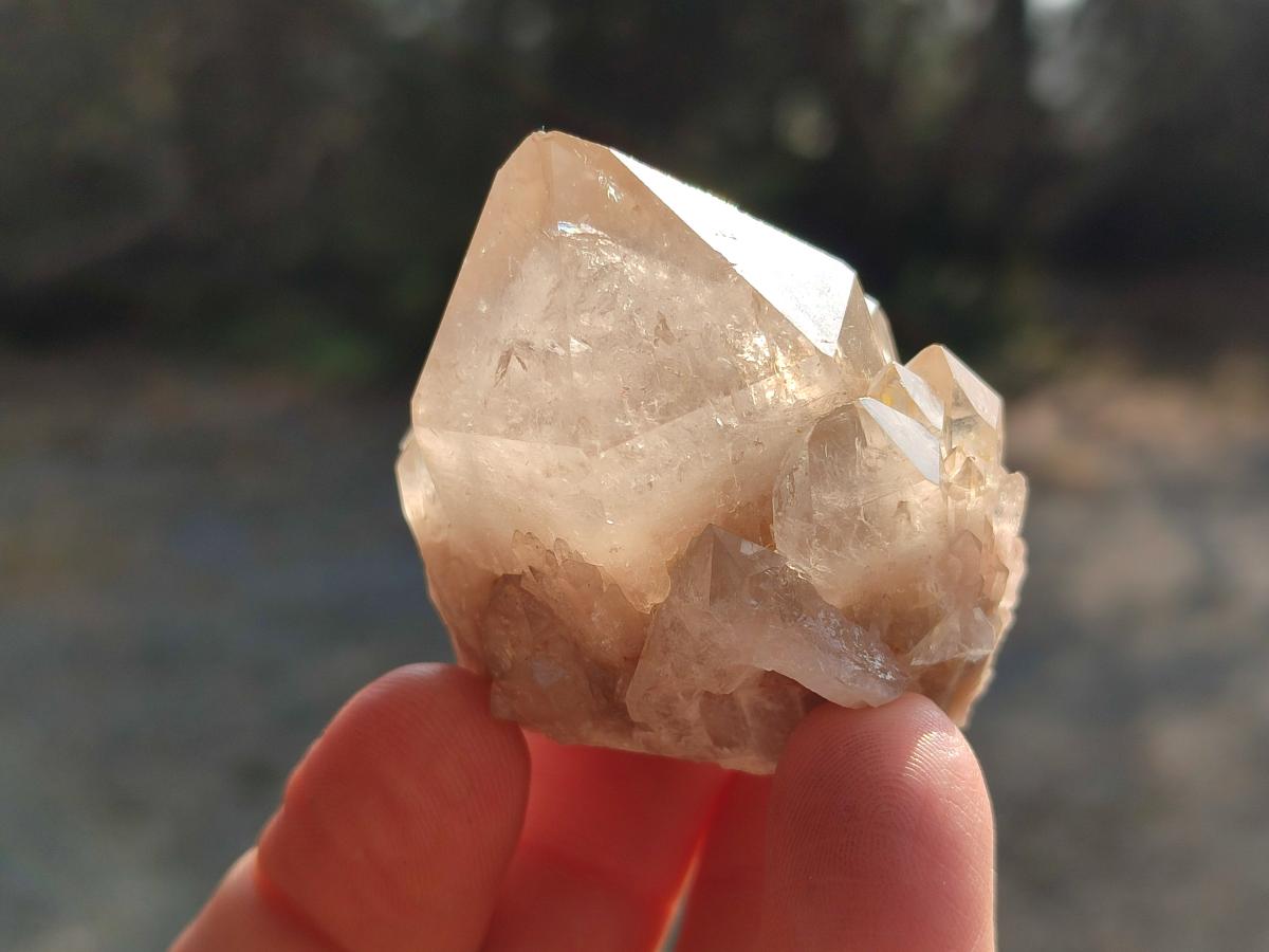 Natural Cascading White Phantom Smokey Luena Quartz Crystals x 12 From Luena, Congo - Toprock Gemstones and Minerals 