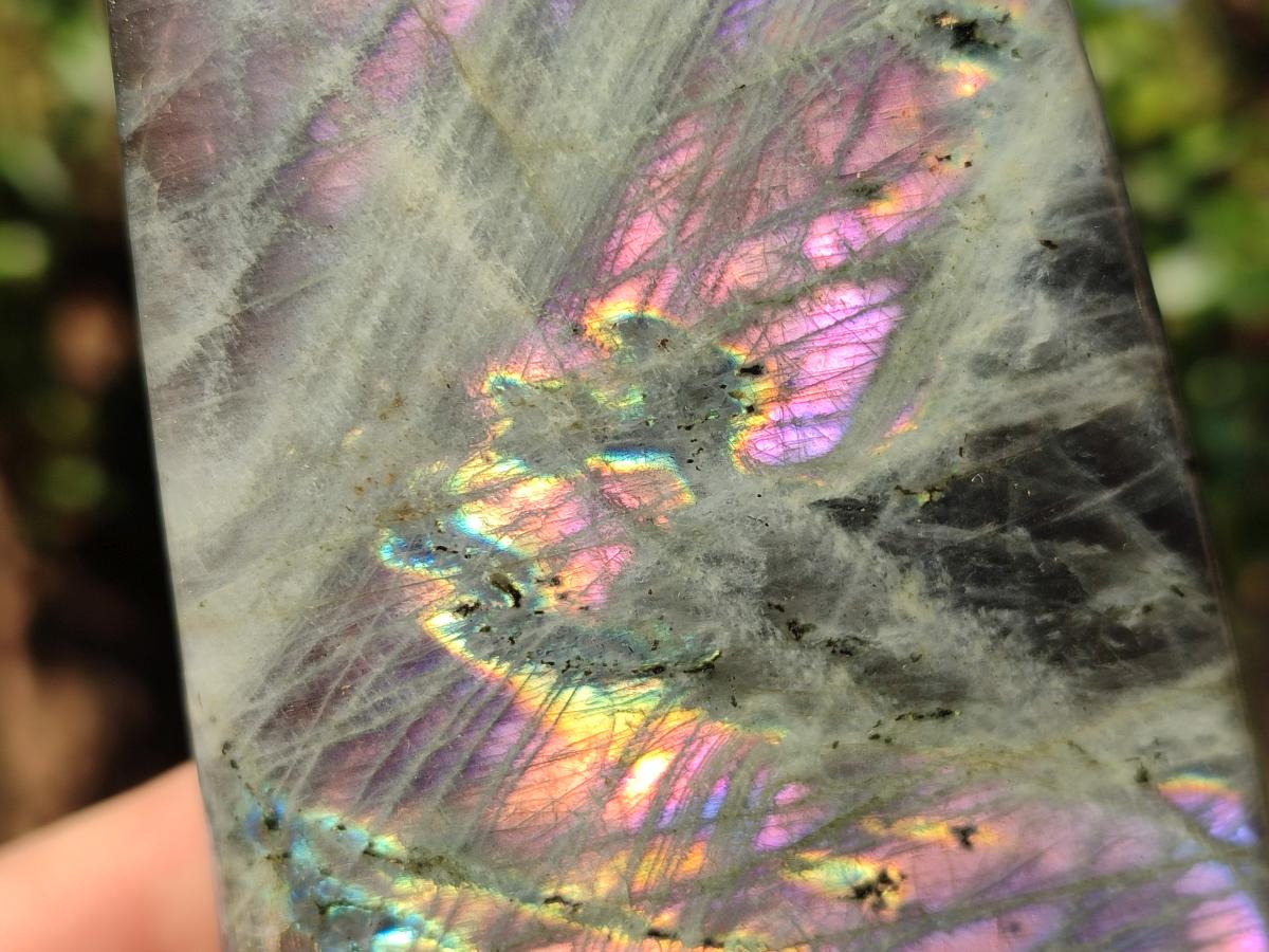 Polished Labradorite Standing Display Pieces x 4 From Madagascar - Toprock Gemstones and Minerals 