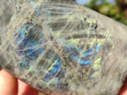 Polished Labradorite Standing Display Pieces x 4 From Madagascar - Toprock Gemstones and Minerals 