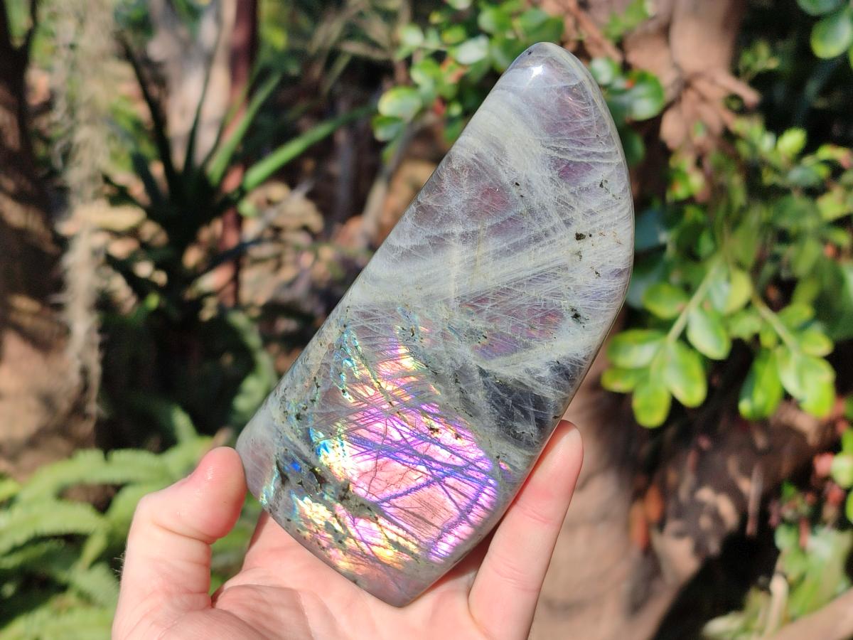 Polished Labradorite Standing Display Pieces x 4 From Madagascar - Toprock Gemstones and Minerals 