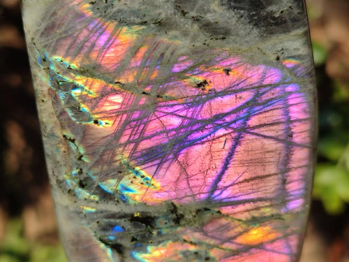 Polished Labradorite Standing Display Pieces x 4 From Madagascar - Toprock Gemstones and Minerals 