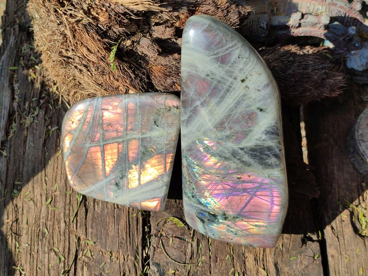 Polished Labradorite Standing Display Pieces x 4 From Madagascar - Toprock Gemstones and Minerals 