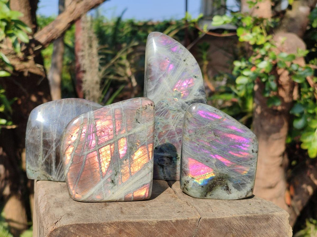 Polished Labradorite Standing Display Pieces x 4 From Madagascar - Toprock Gemstones and Minerals 