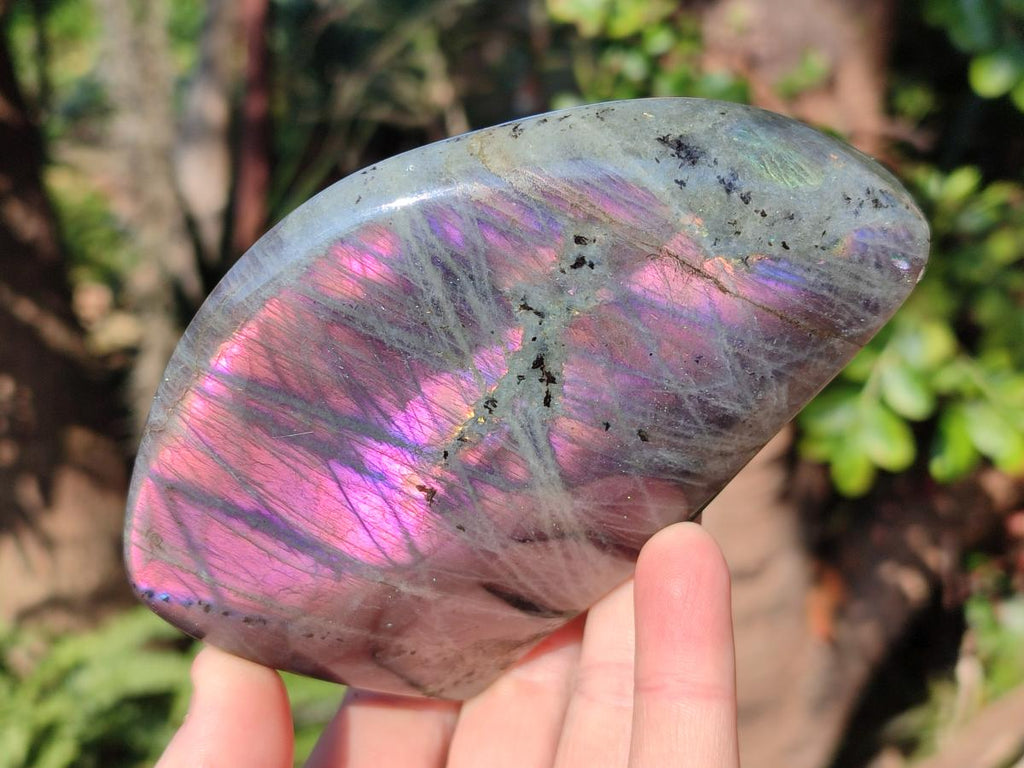 Polished Labradorite Standing Display Pieces x 4 From Madagascar - Toprock Gemstones and Minerals 