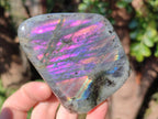Polished Labradorite Standing Display Pieces x 4 From Madagascar - Toprock Gemstones and Minerals 