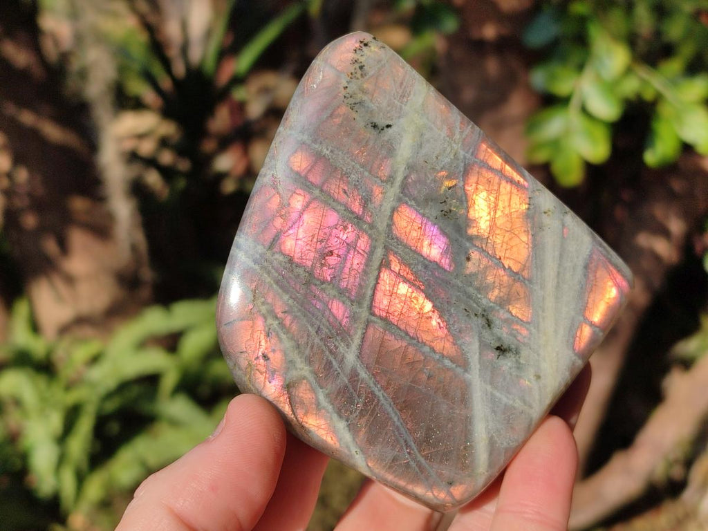 Polished Labradorite Standing Display Pieces x 4 From Madagascar - Toprock Gemstones and Minerals 