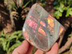 Polished Labradorite Standing Display Pieces x 4 From Madagascar - Toprock Gemstones and Minerals 