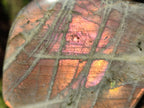 Polished Labradorite Standing Display Pieces x 4 From Madagascar - Toprock Gemstones and Minerals 