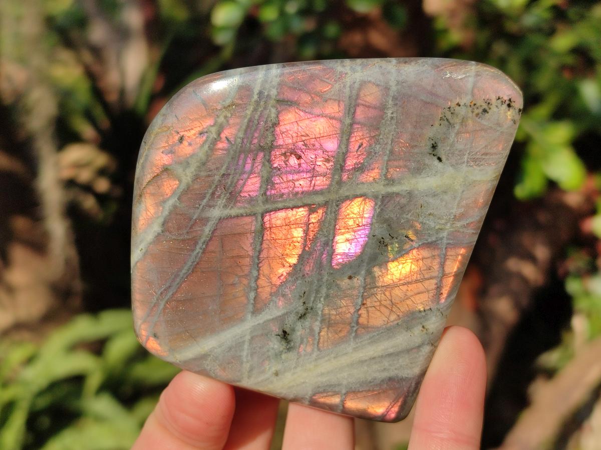 Polished Labradorite Standing Display Pieces x 4 From Madagascar - Toprock Gemstones and Minerals 