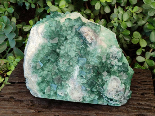 Natural XL Green Cubic Fluorite Specimen x 1 From Mandrosonoro, Madagascar - Toprock Gemstones and Minerals 