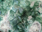 Natural XL Green Cubic Fluorite Specimen x 1 From Mandrosonoro, Madagascar - Toprock Gemstones and Minerals 
