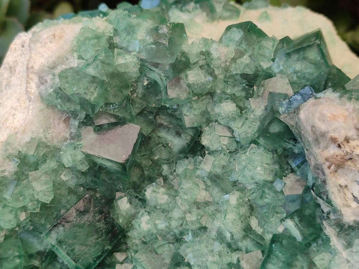 Natural XL Green Cubic Fluorite Specimen x 1 From Mandrosonoro, Madagascar - Toprock Gemstones and Minerals 