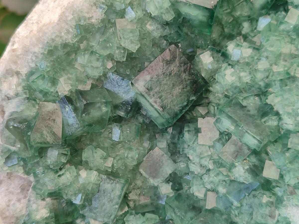 Natural XL Green Cubic Fluorite Specimen x 1 From Mandrosonoro, Madagascar - Toprock Gemstones and Minerals 