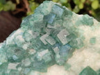 Natural XL Green Cubic Fluorite Specimen x 1 From Mandrosonoro, Madagascar - Toprock Gemstones and Minerals 