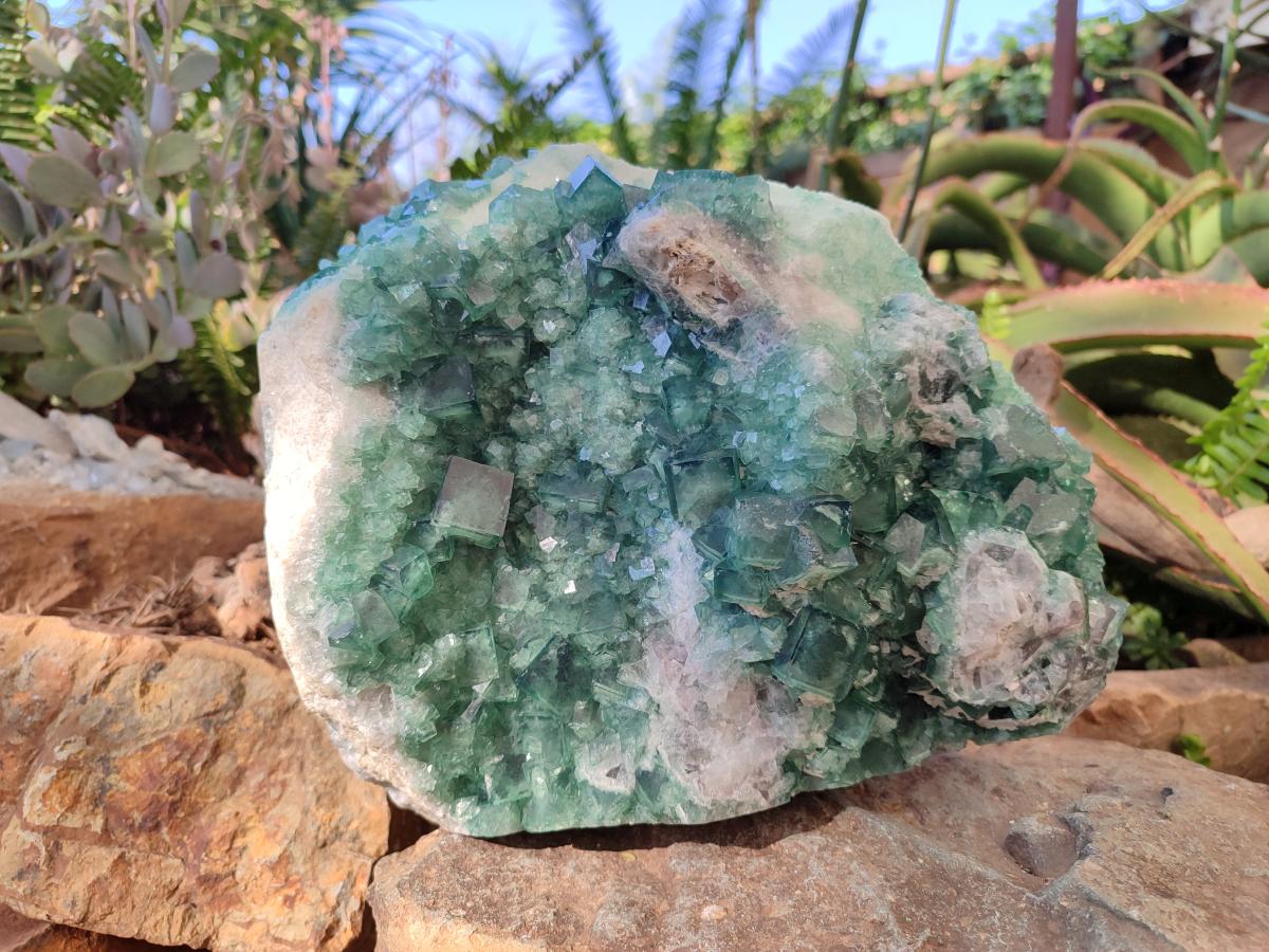 Natural XL Green Cubic Fluorite Specimen x 1 From Mandrosonoro, Madagascar - Toprock Gemstones and Minerals 