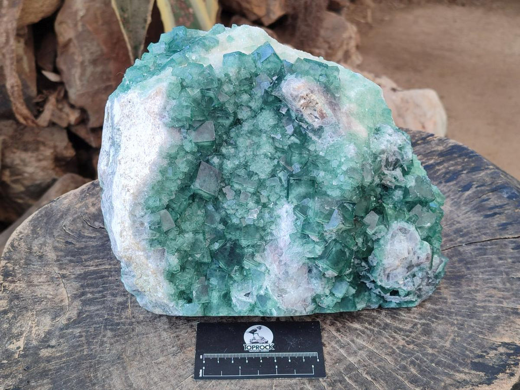 Natural XL Green Cubic Fluorite Specimen x 1 From Mandrosonoro, Madagascar - Toprock Gemstones and Minerals 
