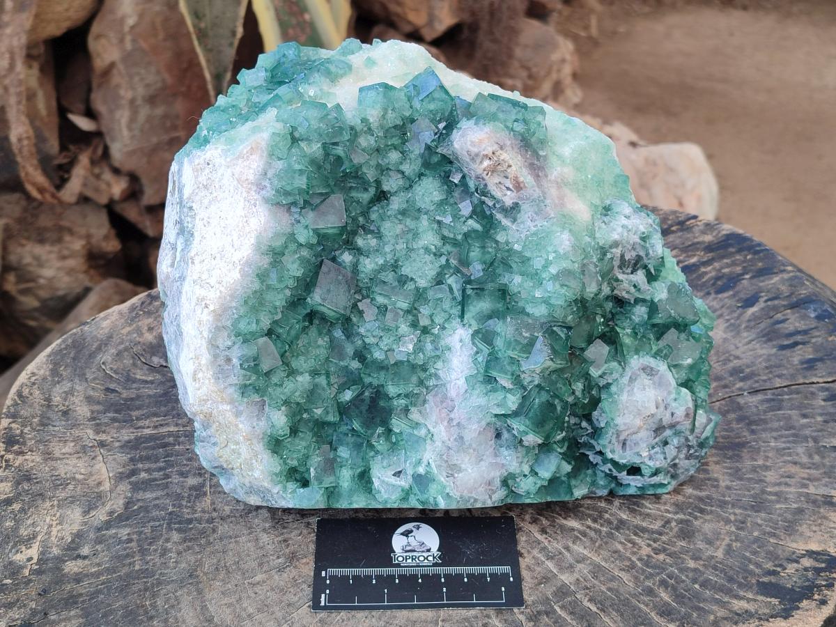 Natural XL Green Cubic Fluorite Specimen x 1 From Mandrosonoro, Madagascar - Toprock Gemstones and Minerals 