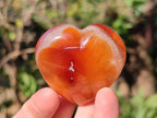 Polished Carnelian Agate Gemstone Hearts x 15 From Madagascar