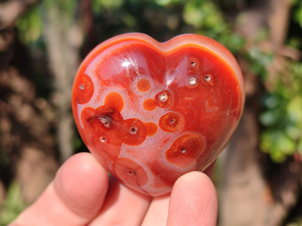 Polished Carnelian Agate Gemstone Hearts x 15 From Madagascar