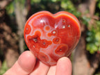 Polished Carnelian Agate Gemstone Hearts x 15 From Madagascar