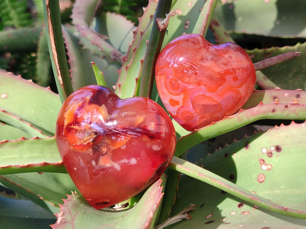 Polished Carnelian Agate Gemstone Hearts x 15 From Madagascar
