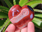 Polished Carnelian Agate Gemstone Hearts x 15 From Madagascar