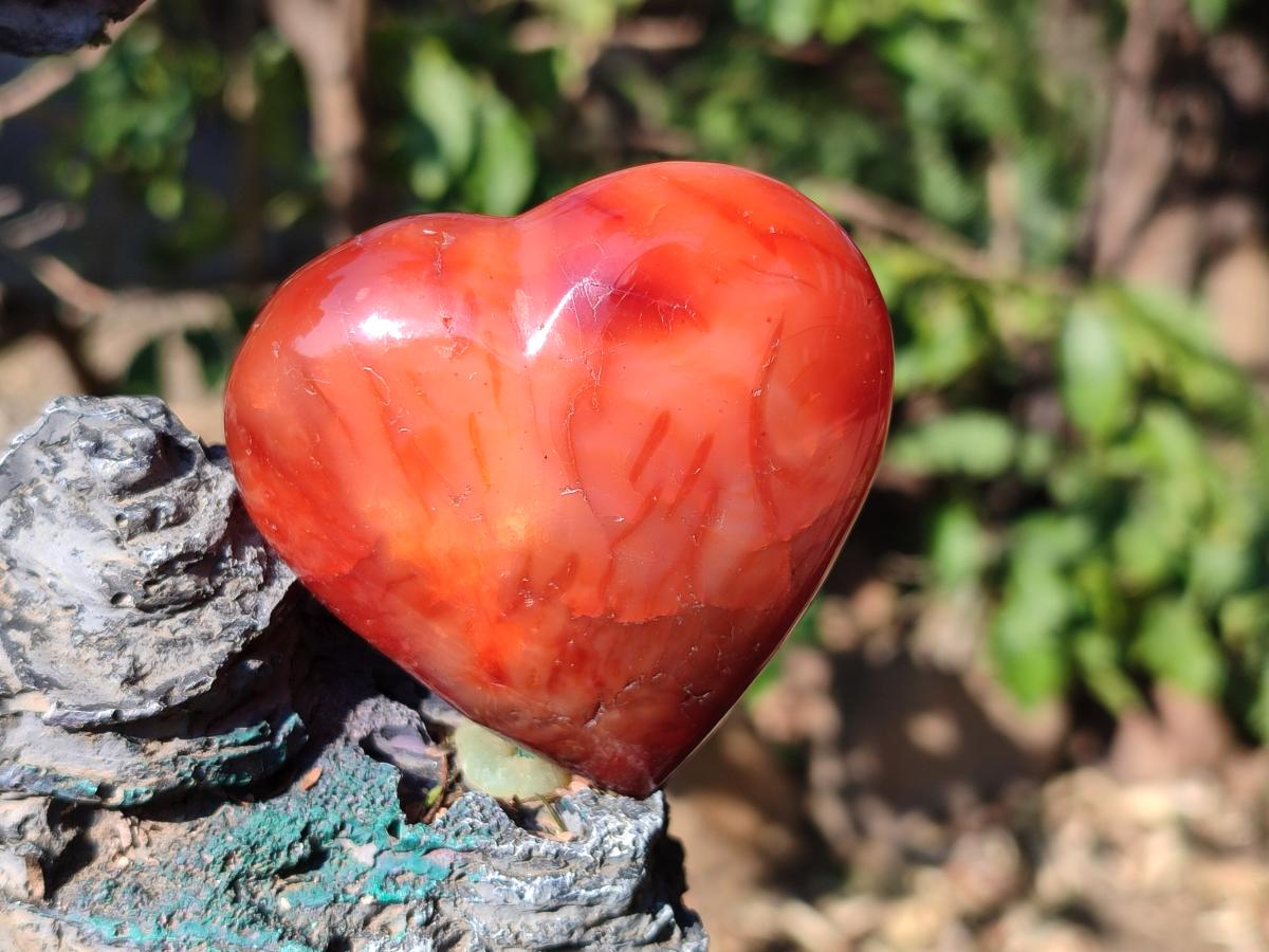 Polished Carnelian Agate Gemstone Hearts x 15 From Madagascar