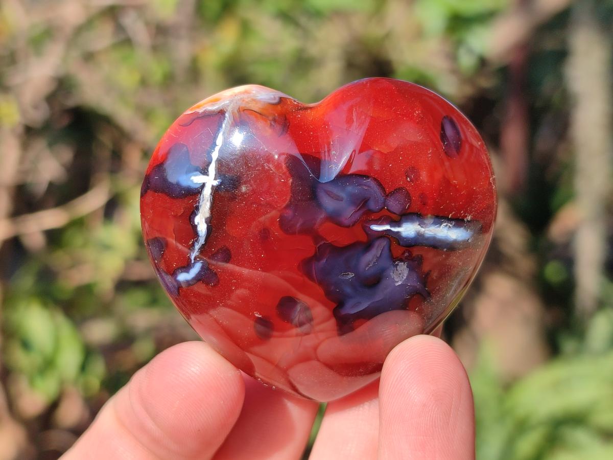 Polished Carnelian Agate Gemstone Hearts x 15 From Madagascar