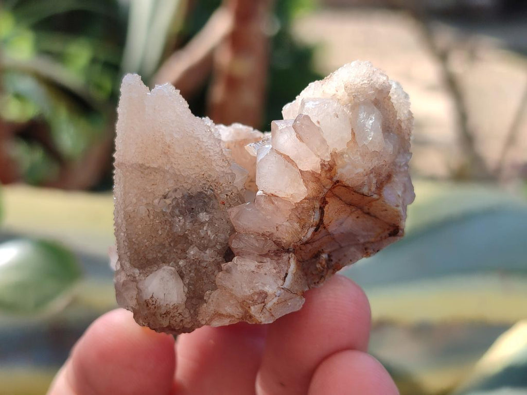 Natural Drusy Snow Finger Quartz Calcite Pseudomorph Crystals x 24 From Albert's Mountain, Lesotho - Toprock Gemstones and Minerals 